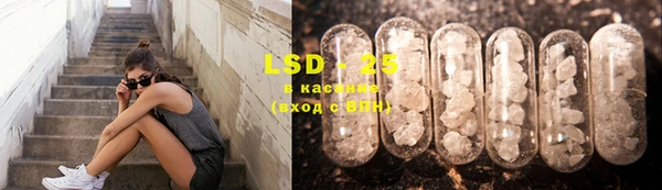 PSILOCYBIN Алзамай