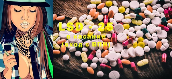 PSILOCYBIN Алзамай