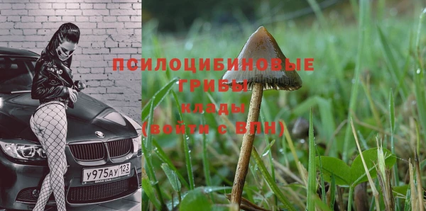 круглые Алексеевка
