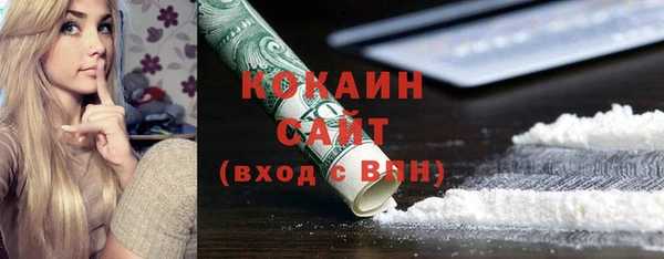 PSILOCYBIN Алзамай